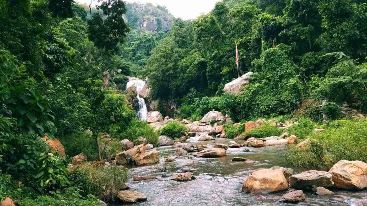 A stream flowing through lush green woodland