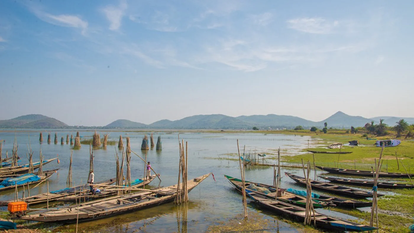 Wooden boats resting by Chilika lagoon