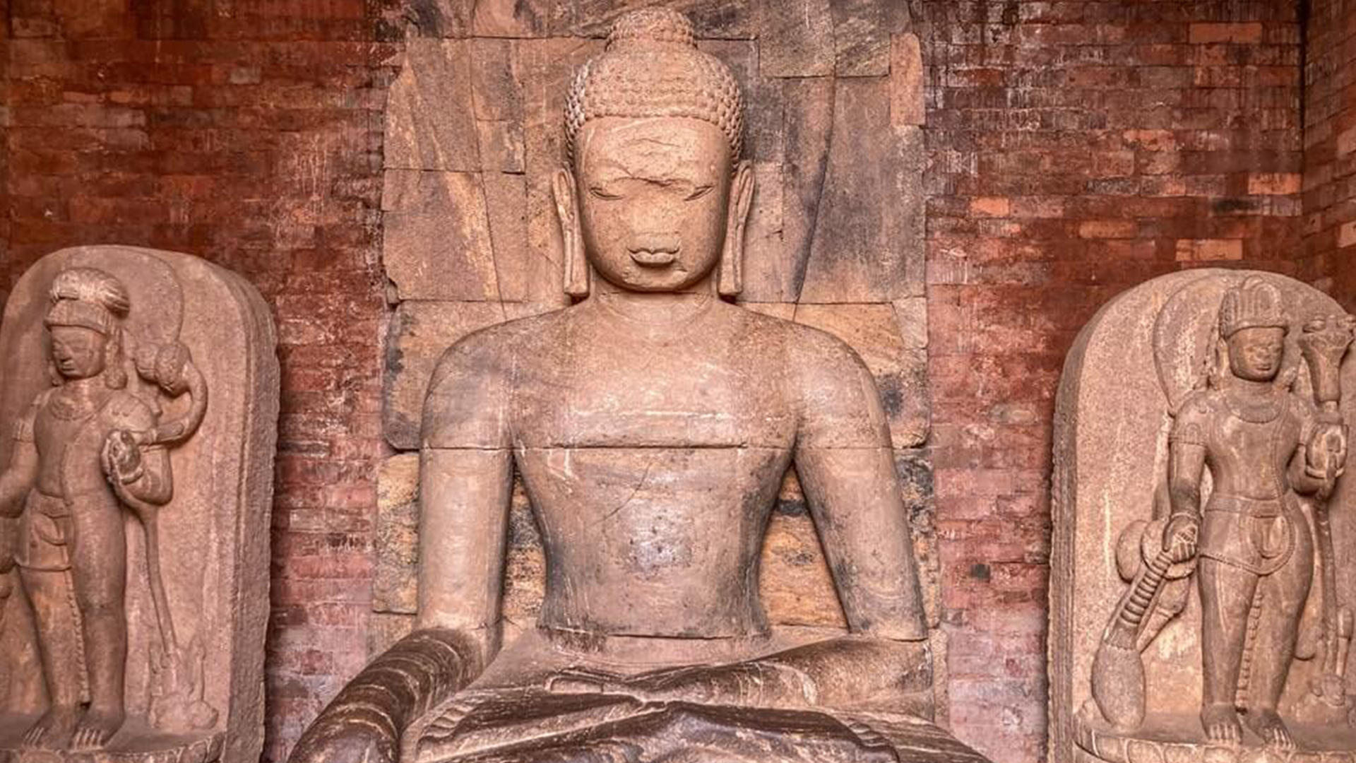 Comfortable transport and hotels